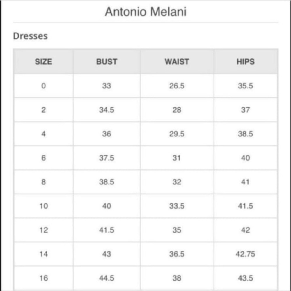 Antonio melani dress bloggers fav - Picture 10 of 16